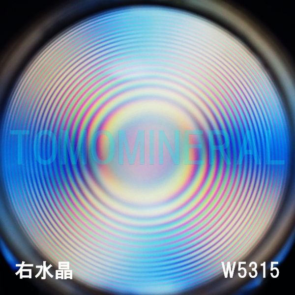 ʁEE ōVRۋ3A ӕʏt(W5315) 33.9mm