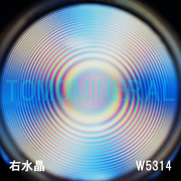 ʁEE ōVRۋ3A ӕʏt(W5314) 33.9mm