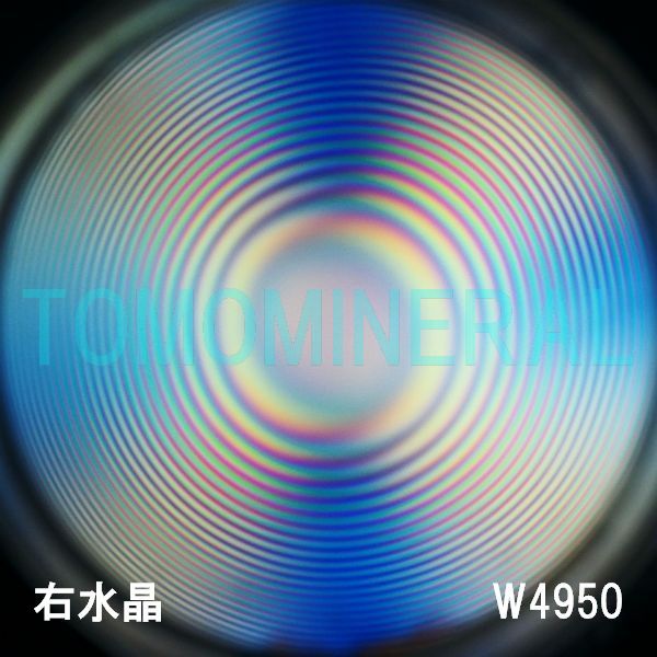 ʁEE ōVRۋ3A ӕʏt(W4950) 33.9mm