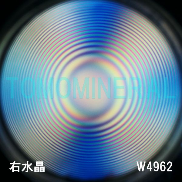 ʁEE ōVRۋ3A ӕʏt(W4962) 33.9mm