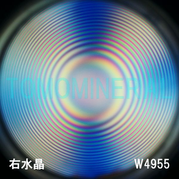 ʁEE ōVRۋ3A ӕʏt(W4955) 34.0mm