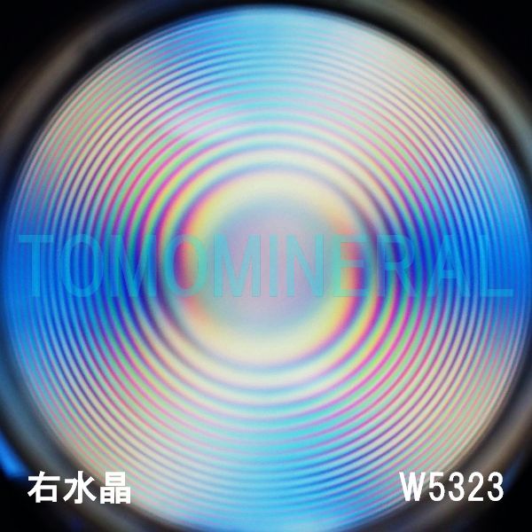 ʁEE ōVRۋ3A ӕʏt(W5323) 34.0mm