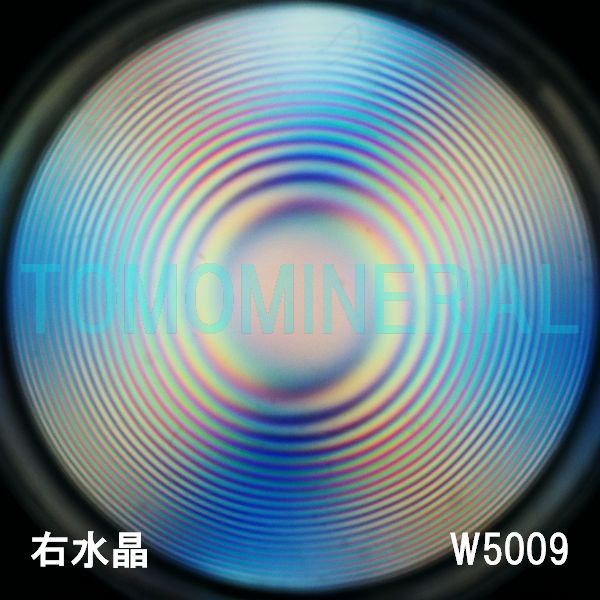 ʁEE ōVRۋ3A ӕʏt(W5009) 34.1mm