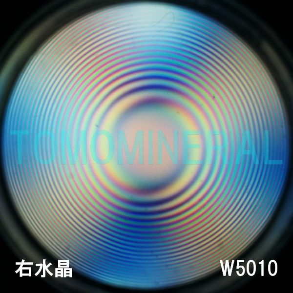 ʁEE ōVRۋ3A ӕʏt(W5010) 34.1mm