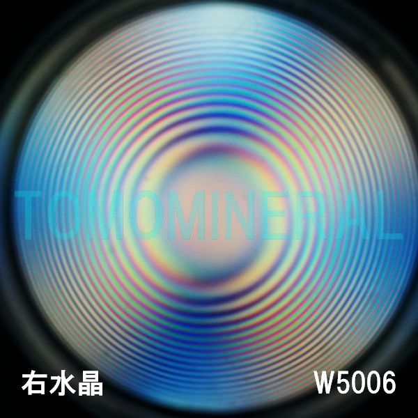 ʁEE ōVRۋ3A ӕʏt(W5006) 34.1mm