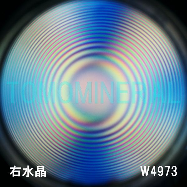 ʁEE ōVRۋ3A ӕʏt(W4973) 34.2mm