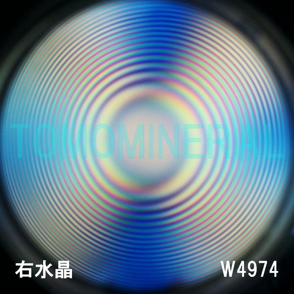 ʁEE ōVRۋ3A ӕʏt(W4974) 34.3mm