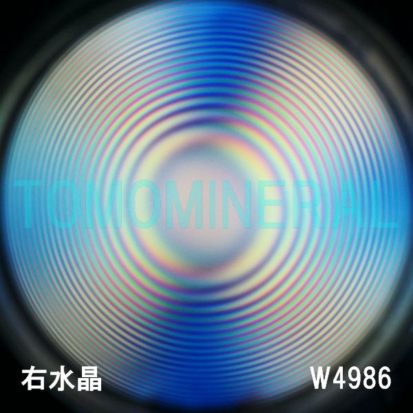 ʁEE ōVRۋ3A ӕʏt(W4986) 34.3mm