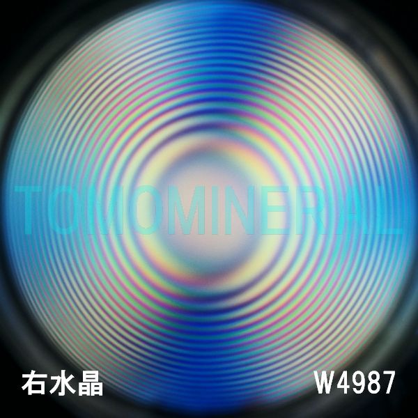 ʁEE ōVRۋ3A ӕʏt(W4987) 34.3mm