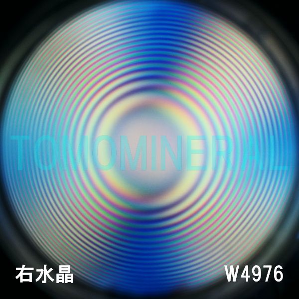 ʁEE ōVRۋ3A ӕʏt(W4976) 34.5mm