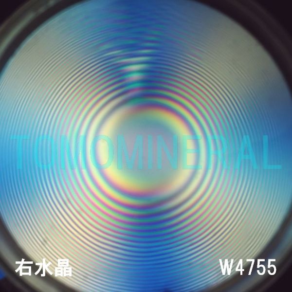 ʁEE ōVRۋ3A ӕʏt(W4755) 34.7mm
