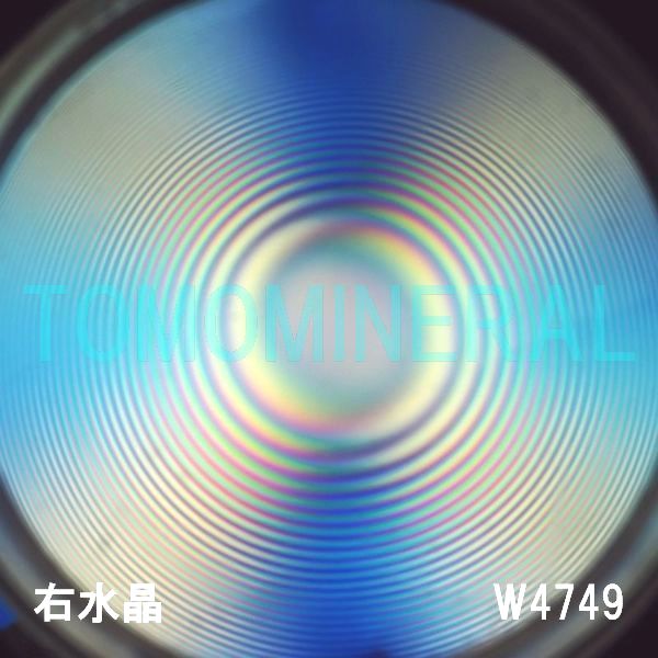 ʁEE ōVRۋ3A ӕʏt(W4749) 34.65mm