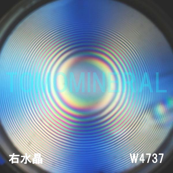 ʁEE ōVRۋ3A ӕʏt(W4737) 34.85mm