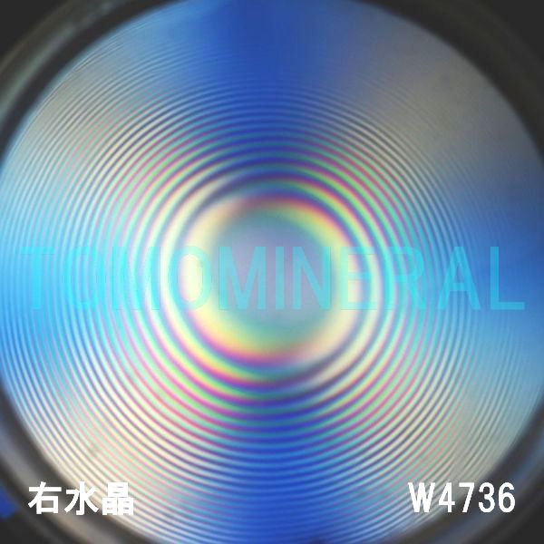 ʁEE ōVRۋ3A ӕʏt(W4736) 34.9mm
