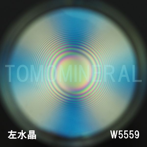 ʁE ōVRۋ3A ӕʏt(W5559) 36.6mm