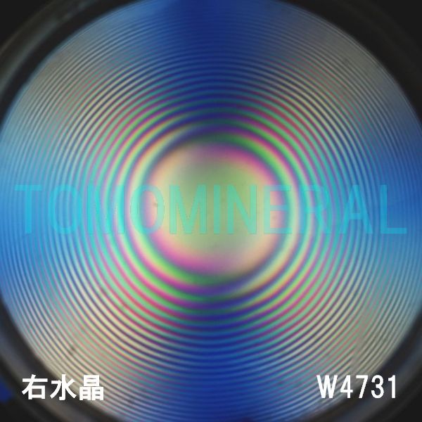 ʁEE ōVRۋ3A ӕʏt(W4731) 37.4mm