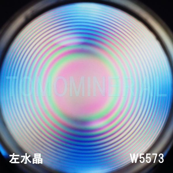 ʁE ōVRۋ3A ӕʏt(W5573) 48.0mm