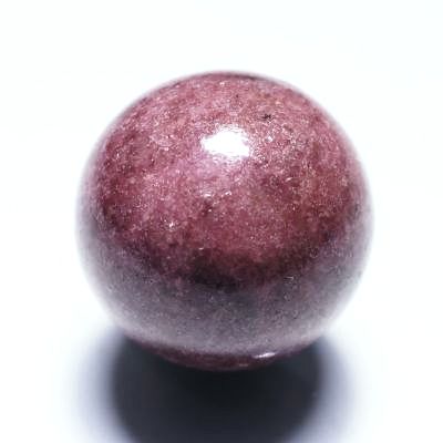 p[Xg[ۋ [hiCgۋ20mm (10)