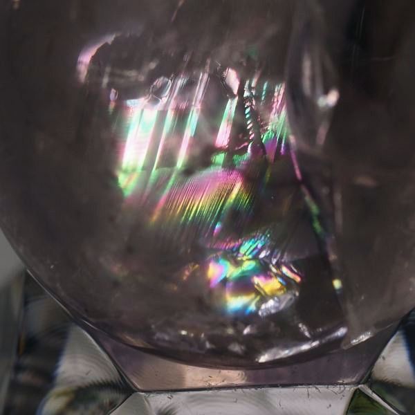 C{[ۋʃAWXg 40.1mm (106)