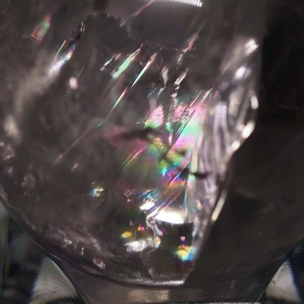 C{[ۋʃAWXg 40.1mm (106)