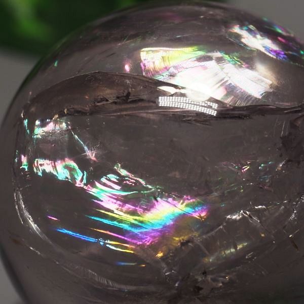 C{[AWXgۋ39.4mm (107)
