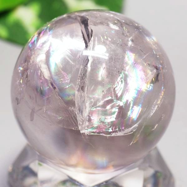C{[AWXgۋ39.4mm (107)
