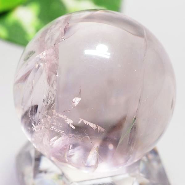 C{[AWXgۋ39.4mm (107)