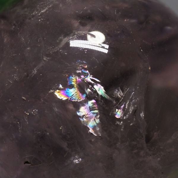 C{[AWXgۋ 39.5mm (109)