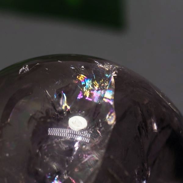 C{[AWXgۋ 39.5mm (109)