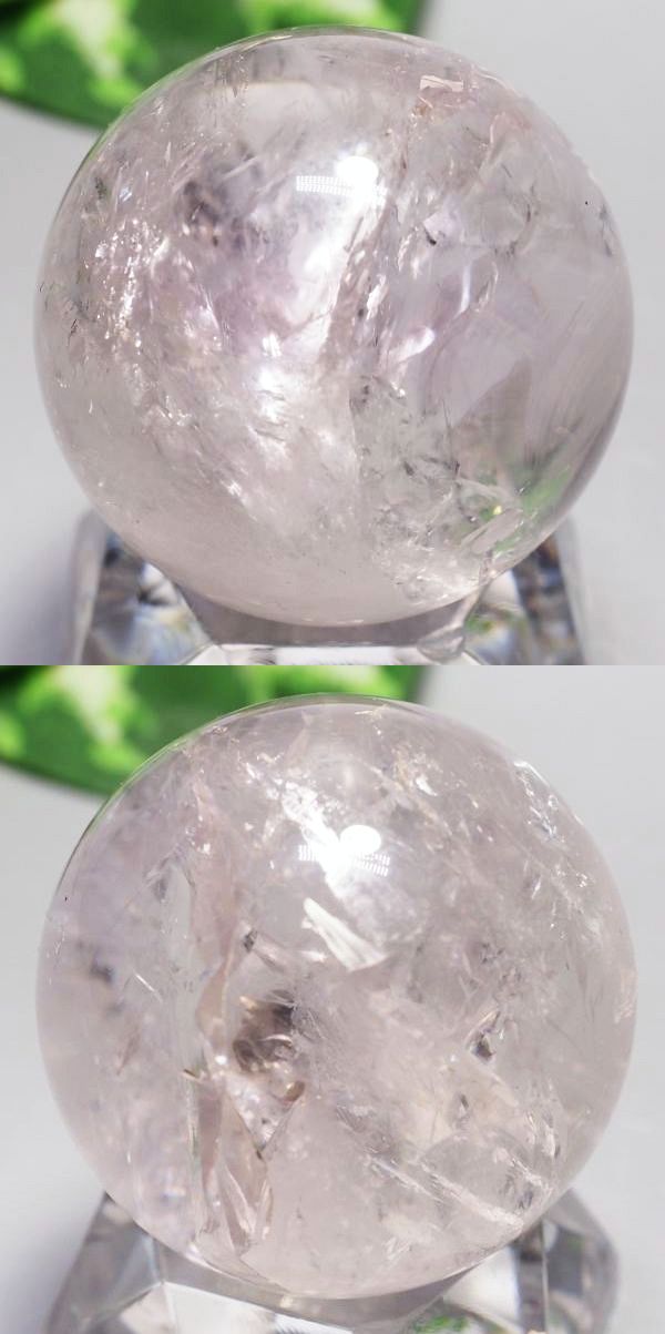 C{[AWXgۋ 39.8mm (112)