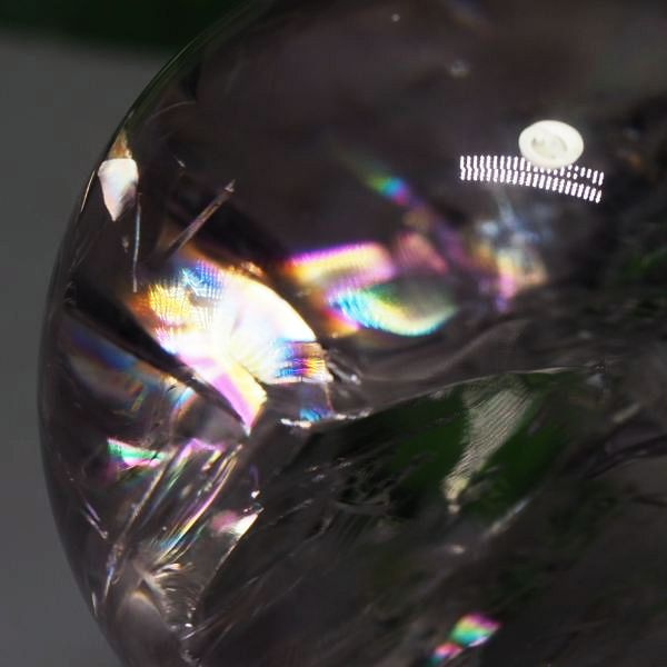 C{[AWXgۋ 39.7mm (113)