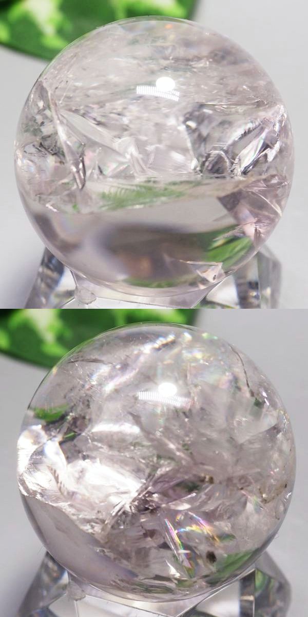 C{[AWXgۋ 39.7mm (113)