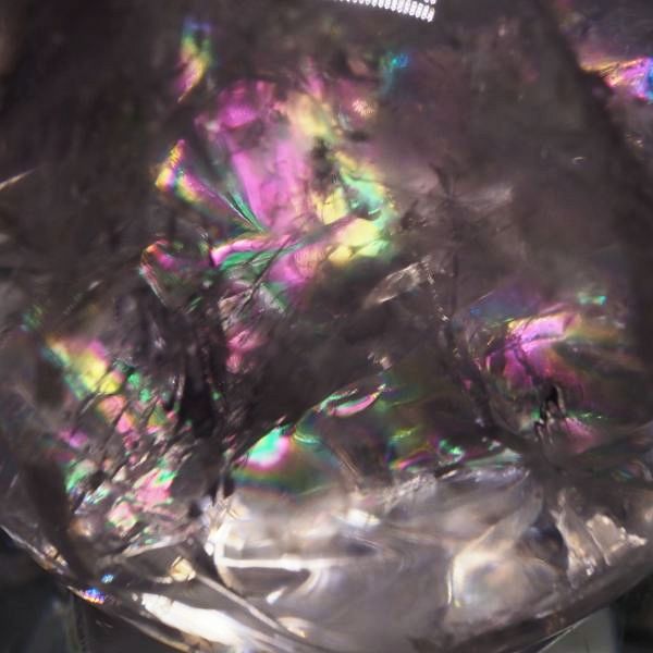 C{[ۋʃAWXg 41.4mm (116)