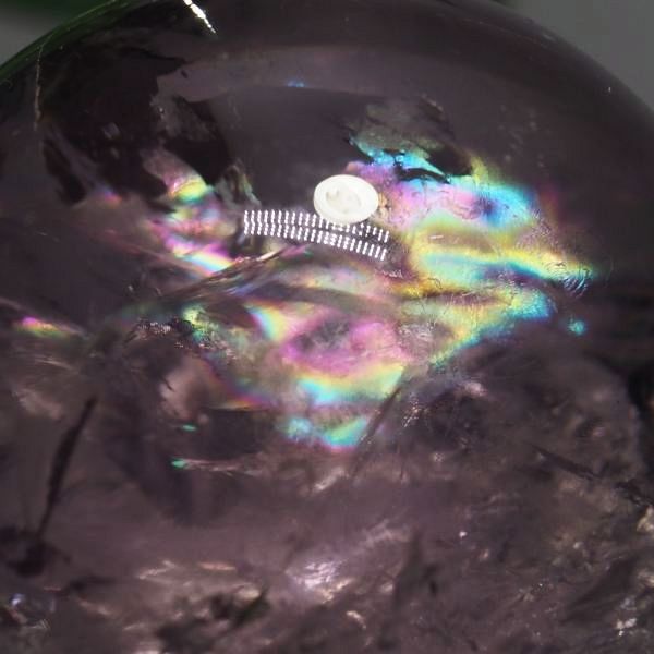 C{[ۋʃAWXg 40.3mm (117)
