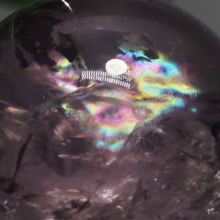 C{[ۋ<br>AWXg 40.3mm (117)