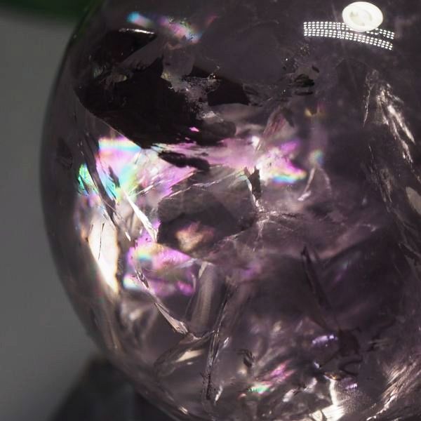 C{[ۋʃAWXg 40.3mm (117)