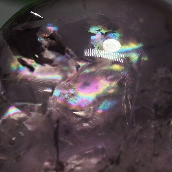 C{[ۋʃAWXg 40.3mm (117)