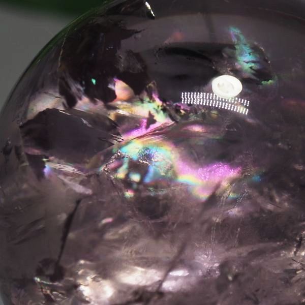 C{[ۋʃAWXg 40.3mm (117)