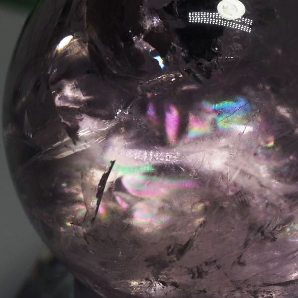 C{[ۋʃAWXg 40.3mm (117)