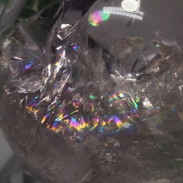 C{[ۋʃAWXg 40.8mm (118)