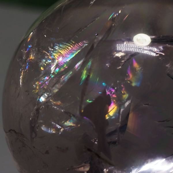 C{[ۋʃAWXg 40.8mm (118)