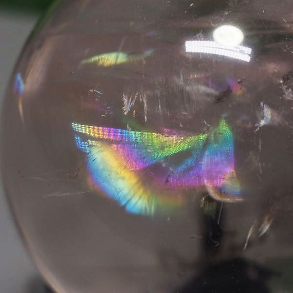 C{[ۋʃAWXg 40.8mm (119)