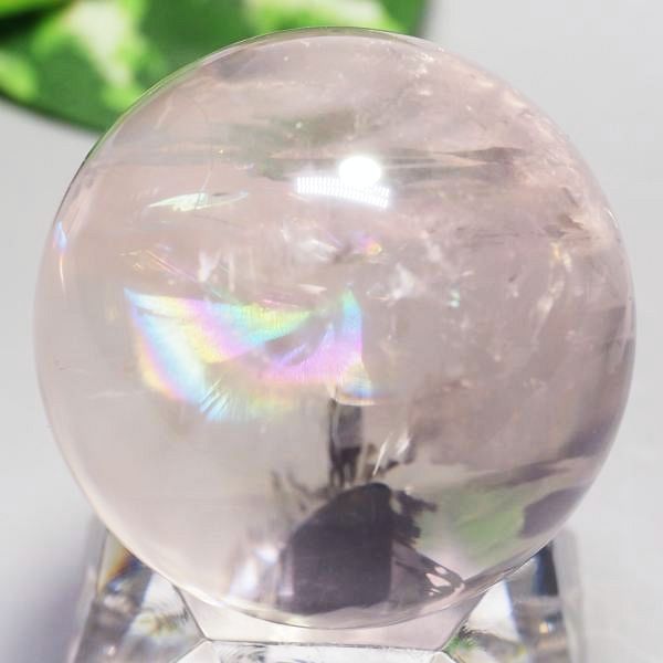 C{[ۋʃAWXg 40.8mm (119)