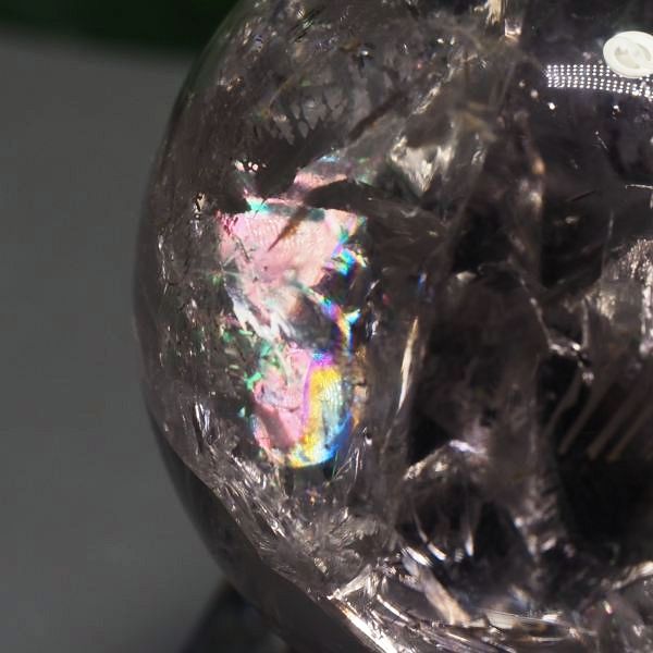C{[ۋʃAWXg 40.5mm (120)