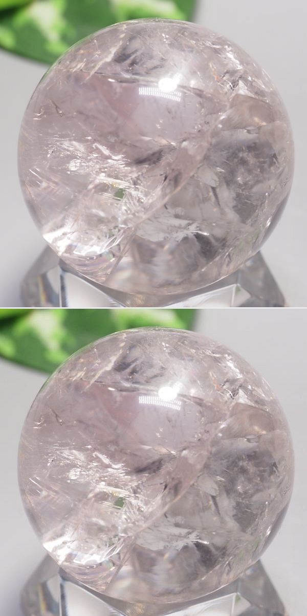C{[ۋʃAWXg 40.5mm (120)