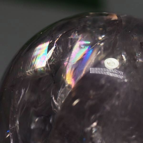 C{[ۋʃAWXg 40.9mm (121)