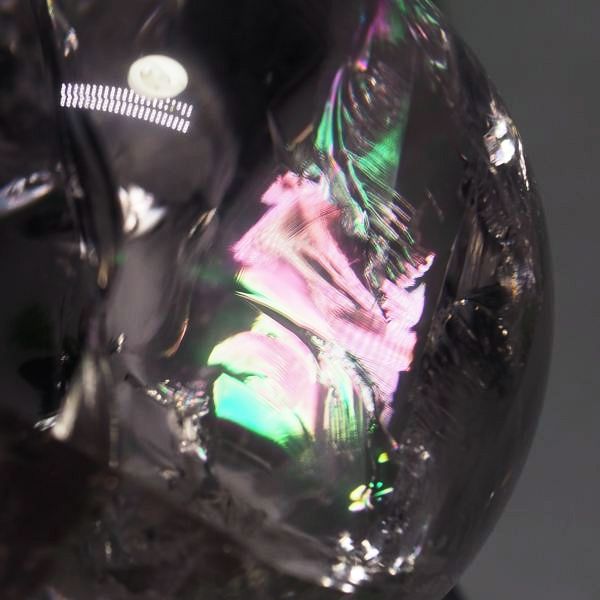 C{[ۋʃAWXg 40.9mm (121)
