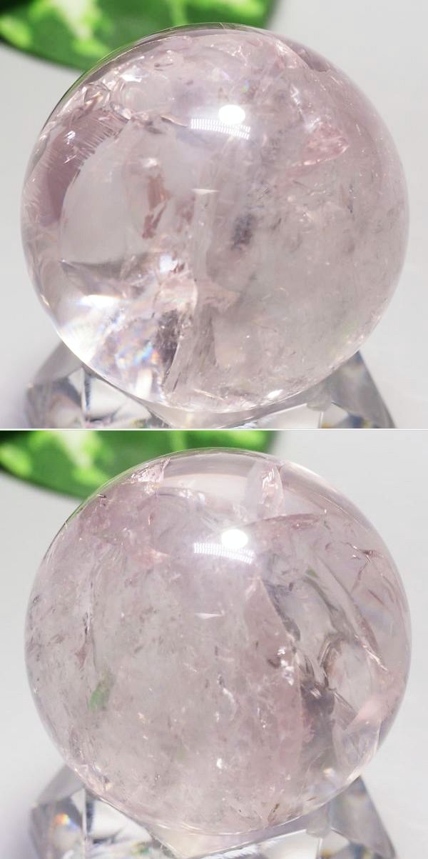 C{[ۋʃAWXg 40.9mm (121)