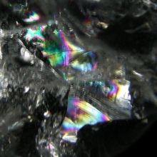 C{[NH[cۋ<br> 76.6mm (356)