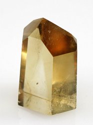 �V�g�����|���b�V���|�C���g<br> �����������Z�p��<br> 36g (12)